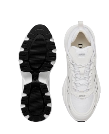 Dior B44 Blade Sneaker