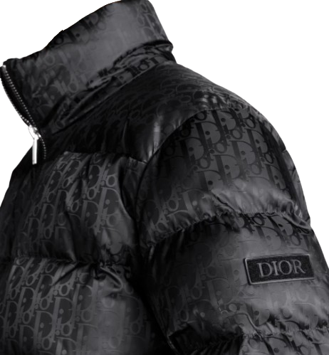 Dior Oblique Down Jacket
