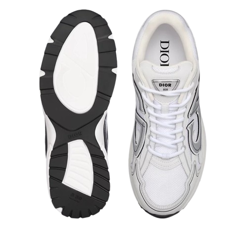 Dior B30 White Countdown Sneaker