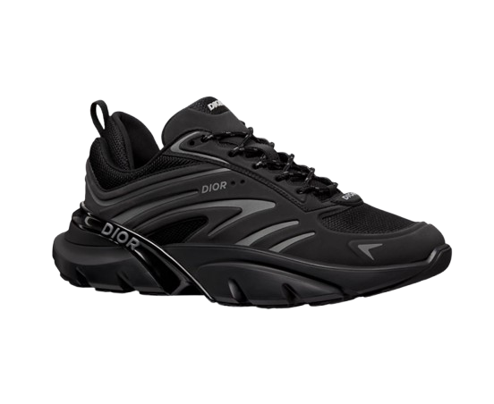 Dior B44  Blade Sneaker