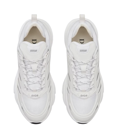 Dior B44  Blade Sneaker